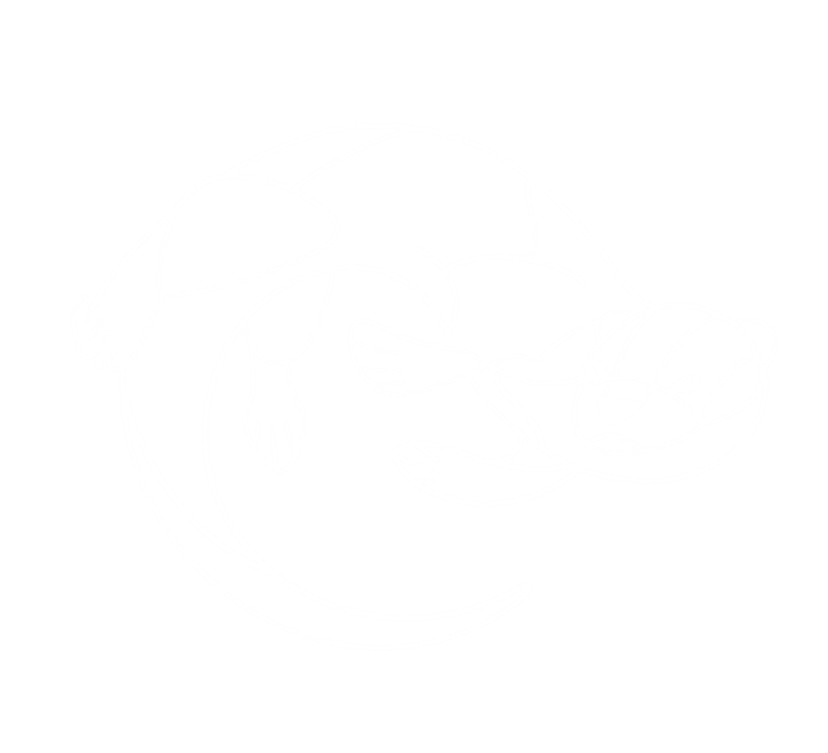 Arcane Conservancy
